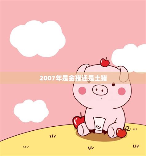 2007年属什么|2007年是什么生肖的人 2007年是属什么属相属猪